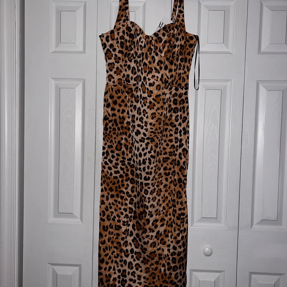 Zara Animal Print Dress in Brown and Black